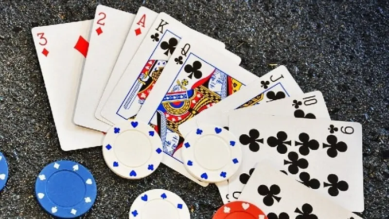 Learn brief information concerning the cardboard game Catte